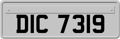 DIC7319