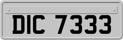 DIC7333