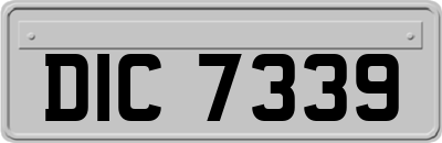 DIC7339
