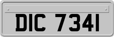 DIC7341
