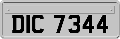 DIC7344