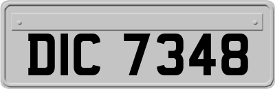 DIC7348