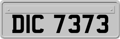 DIC7373