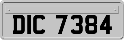 DIC7384