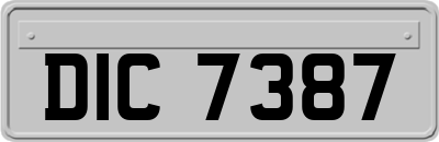 DIC7387