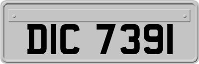 DIC7391