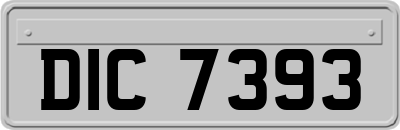 DIC7393
