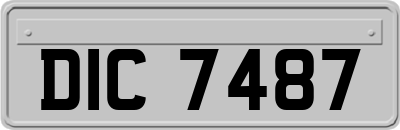 DIC7487
