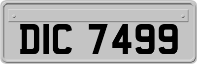 DIC7499