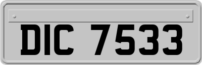 DIC7533