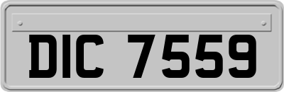 DIC7559