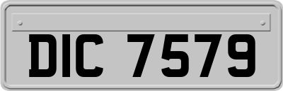 DIC7579