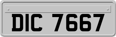 DIC7667