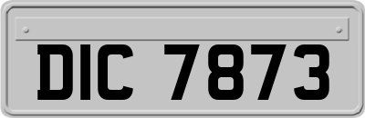 DIC7873