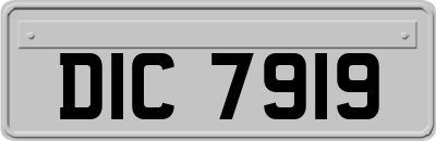 DIC7919