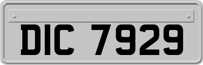 DIC7929