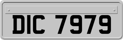 DIC7979
