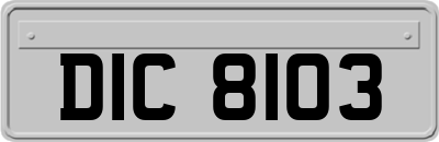 DIC8103