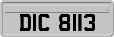 DIC8113