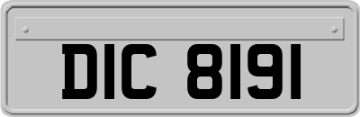 DIC8191
