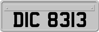 DIC8313