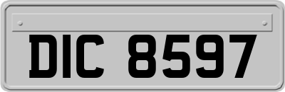 DIC8597
