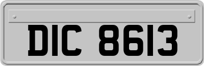 DIC8613