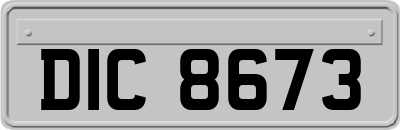 DIC8673
