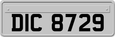 DIC8729