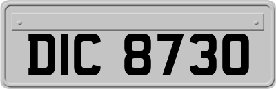 DIC8730