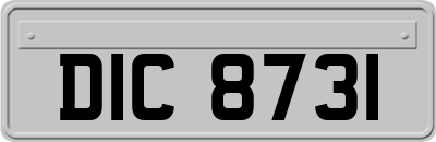 DIC8731