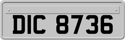 DIC8736