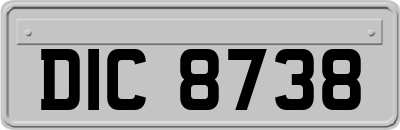 DIC8738