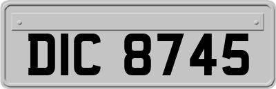 DIC8745