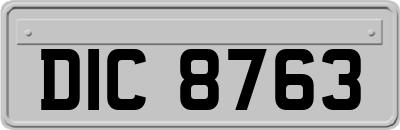 DIC8763