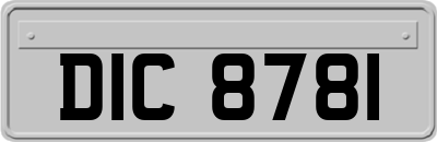DIC8781