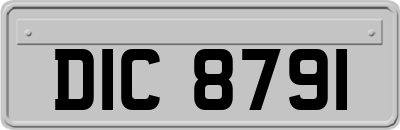 DIC8791