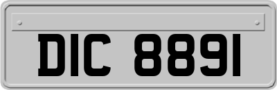 DIC8891