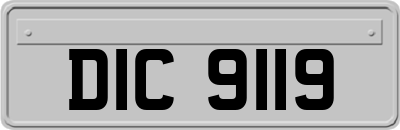 DIC9119