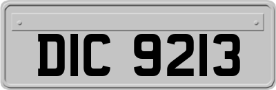 DIC9213