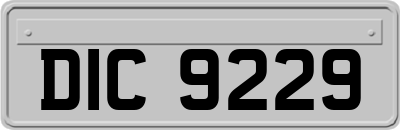 DIC9229