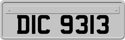 DIC9313