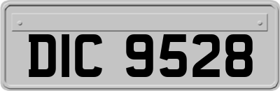 DIC9528