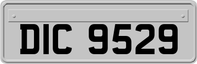 DIC9529