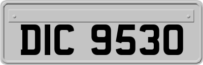 DIC9530