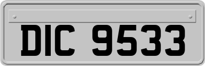 DIC9533