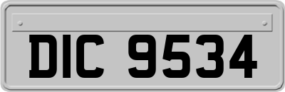 DIC9534