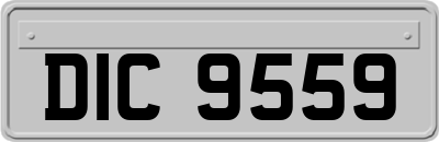 DIC9559