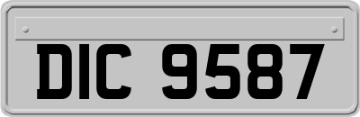 DIC9587