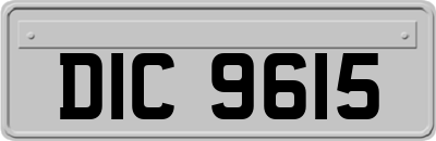 DIC9615
